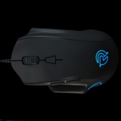 EXON F60 ORIGEN