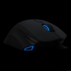 EXON F60 ORIGEN