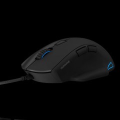 EXON F60 ORIGEN