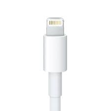アップル純正Lightning - 30ピン変換ケーブル(20cm)【純正チップ使用】